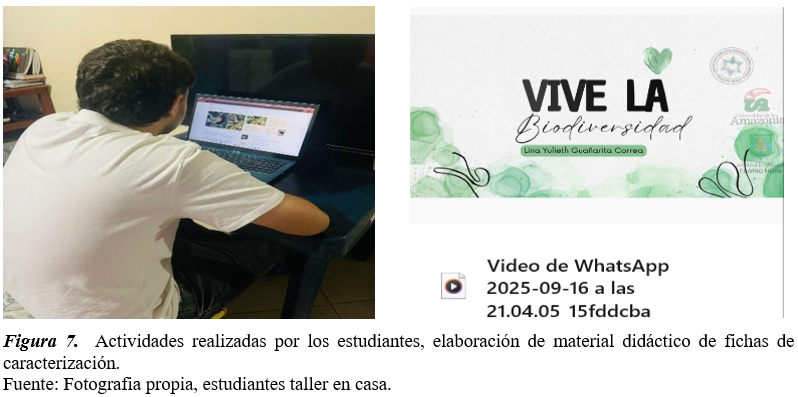 Actividades realizadas por los estudiantes, elaboración de material didáctico de fichas de caracterización.