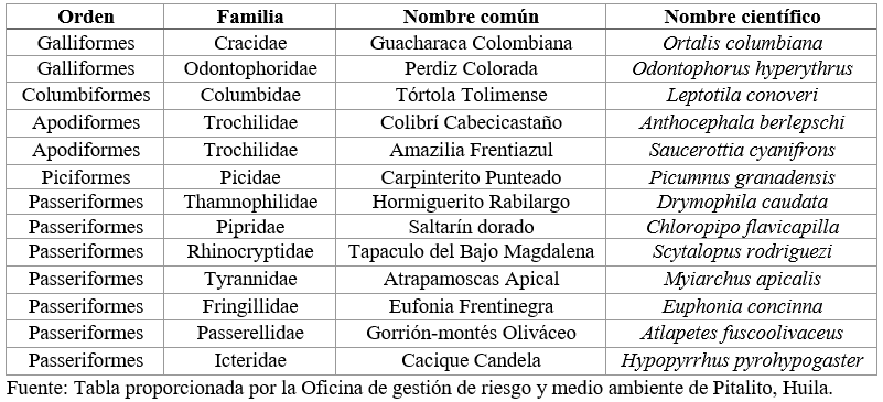 Registro de aves identificadas mediante foto trampeo.